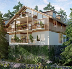 Kasauli Hill Homes