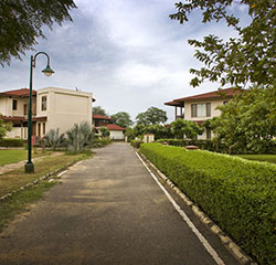 Tarudhan Valley