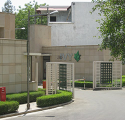 The IVY